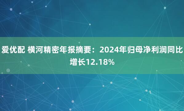 爱优配 横河精密年报摘要：2024年归母净利润同比增长12.18%