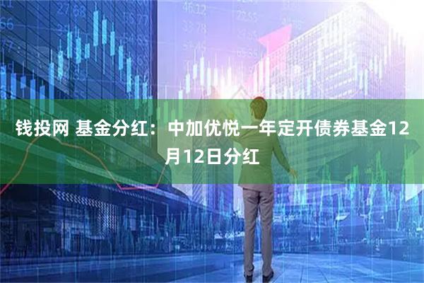 钱投网 基金分红：中加优悦一年定开债券基金12月12日分红