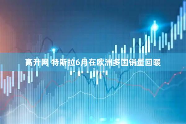 高升网 特斯拉6月在欧洲多国销量回暖